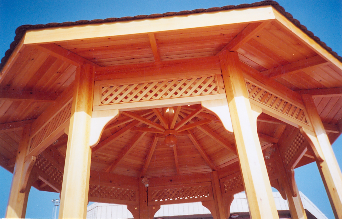 çanakkale kamelya